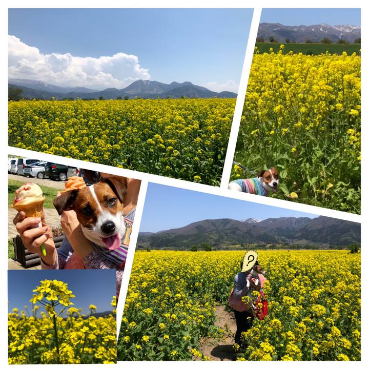 873d5338 4a1c 460f 9169 7fcbbb3dcd54 1556962366436