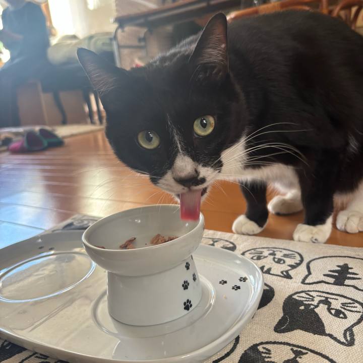 873d6a5c 89b6 4c8b a4f5 27328edcae73 1767229130248