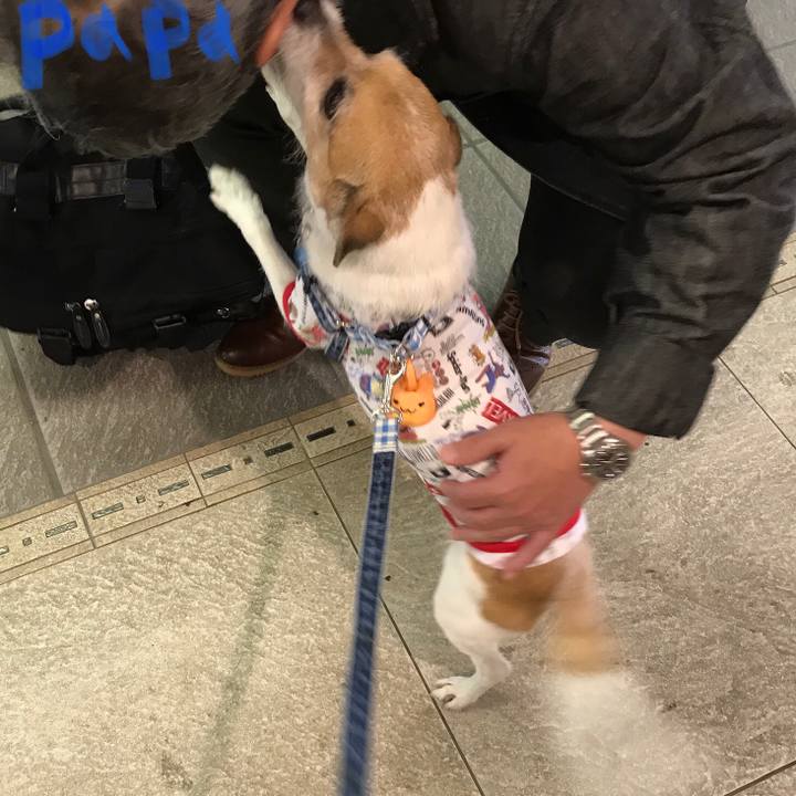 873d71b8 9bc0 465c 8f7b 634c8c526db3 1591353027823