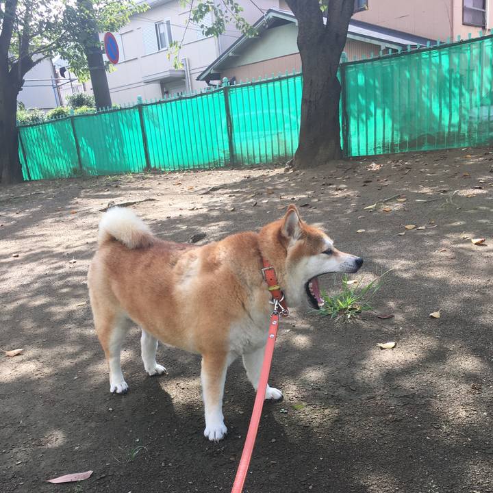 873da4dc 11bd 48d5 ae6b 01ad2deb93e9 1600130143855