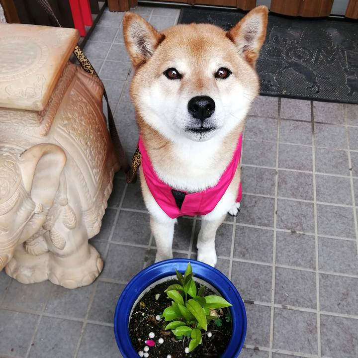 873db4ab 332f 448c a2c1 3fd1fe36a825 1621495330309