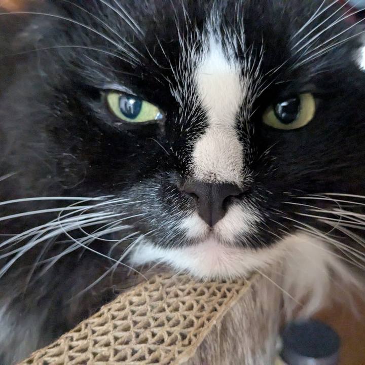 873db575 eb5f 437e bc5c 5903b3e9203f 1755991939027