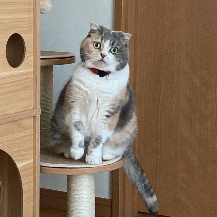 873dbc57 3ae8 407e 8655 5f0c3f652e88 1618967968089