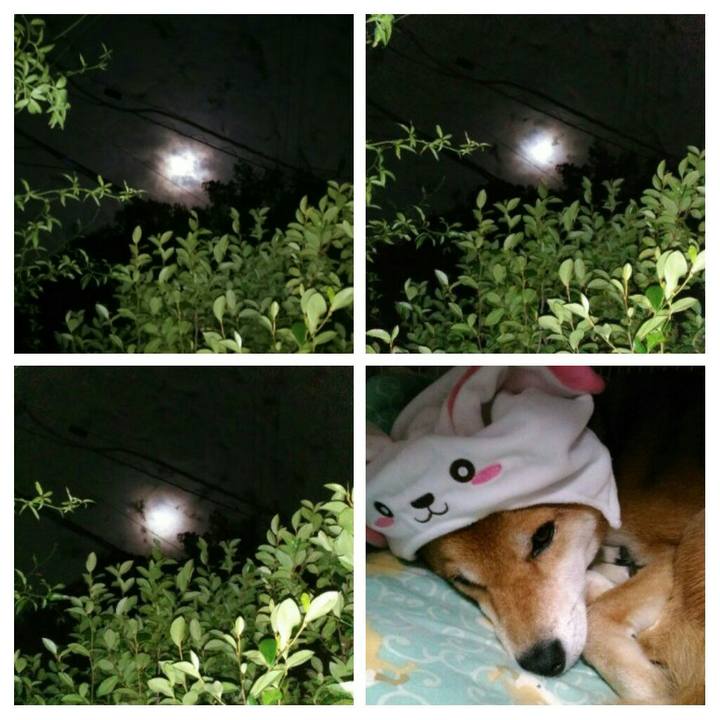 873dce60 d960 4c3d addc 1b2ca42fc290 1568383100447