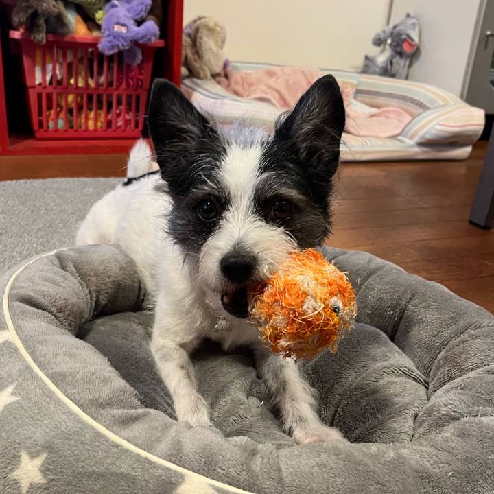 873e09a7 5ecc 4c55 9389 26ca898e89c4 1713781633644