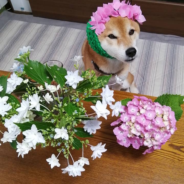 873e1439 d942 47b7 b649 d61048c87fc7 1655255939536