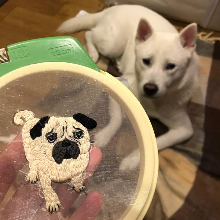 873e2d98 2c42 4014 9c01 a4f5a4eb4e84 1606388512109