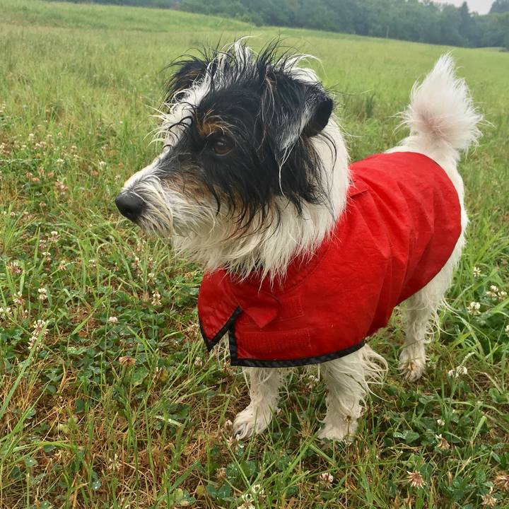 873e3113 ae9c 437e 8349 d68142232e37 1529448791508