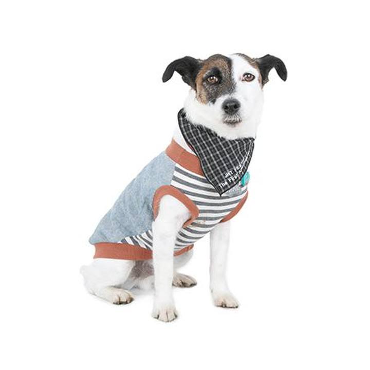 873e3877 f3fa 4eac bece 9b93f2afeb53 1652321254097