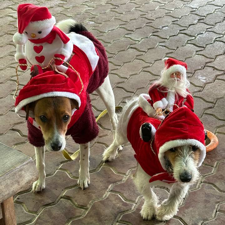 873e595a 0d0d 412a ae0f 33c5b6824ab8 1766580847732