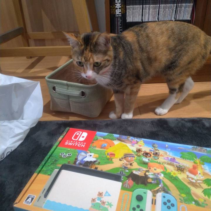 873e7cdf 90e0 4ce4 8b4e 52a062eaa5b7 1605594489220