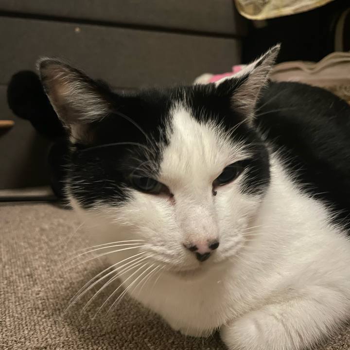 873e8101 423d 4684 a70c bd9e01d96103 1731701707436