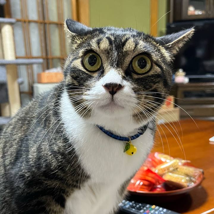 873e944e 019b 4c68 9e2b 7fb368dd405e 1760054829262