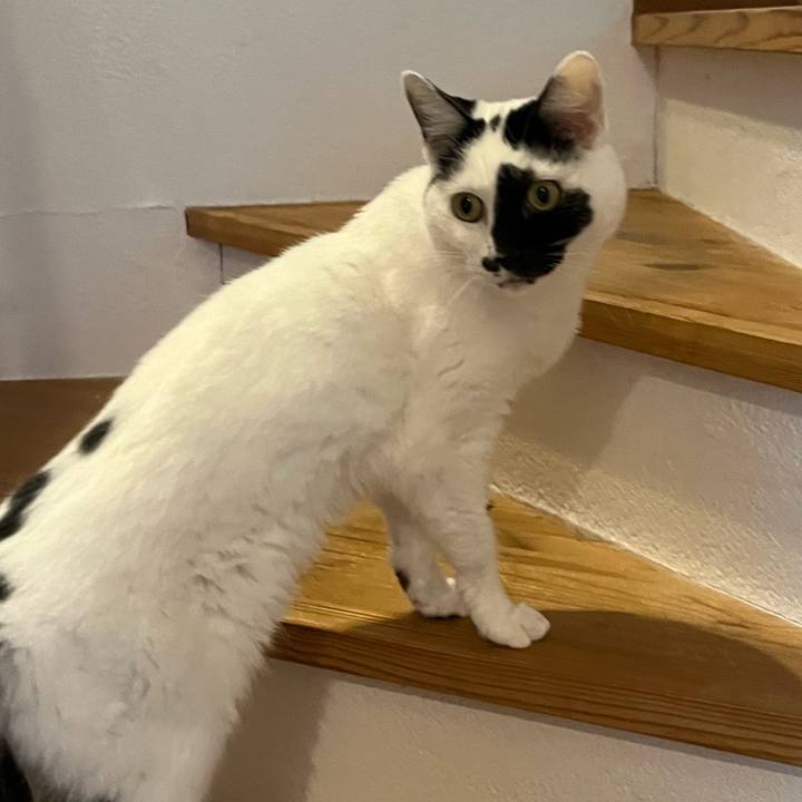 873ecc08 fae6 44d0 b51e 29f0bb6aad7d 1762676860658