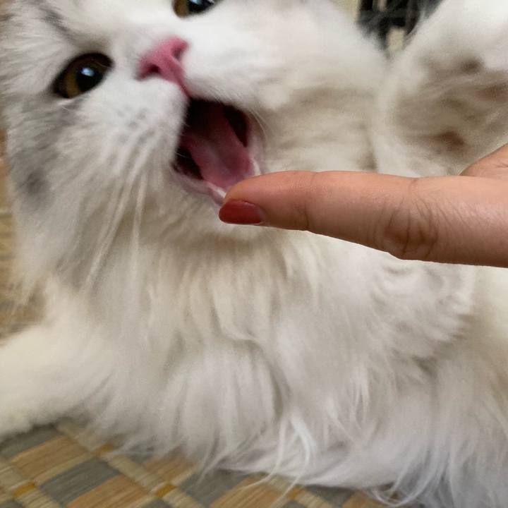 873ed42f 748a 4aca 911b 40a8ceab5f51 1632548714250