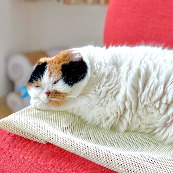 873ef5a1 d103 48d3 ac2e 849bc5beb27a 1652706620081