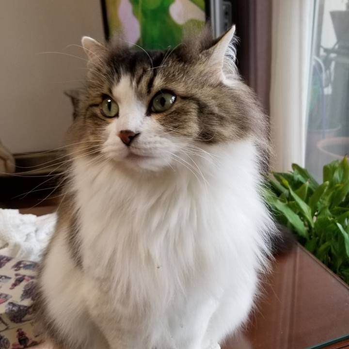 873f0d24 e23b 45c6 9b29 33ca06d27622 1552200324949