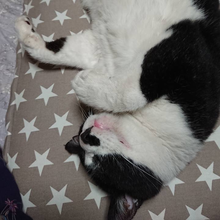 873f1c4b 3806 4a8e 9084 275b4d7d9d6a 1621240802221