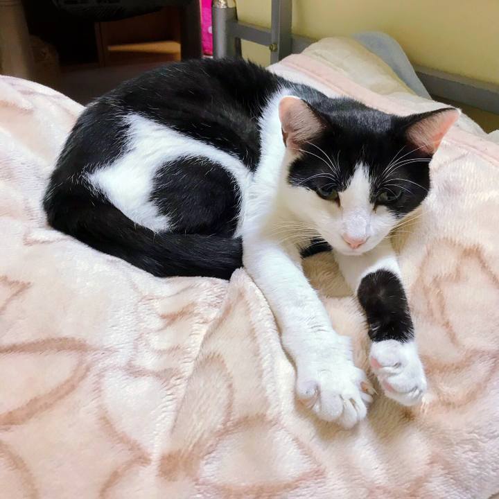 873f2eb1 8666 44be 8096 fcacc3623004 1508896276089