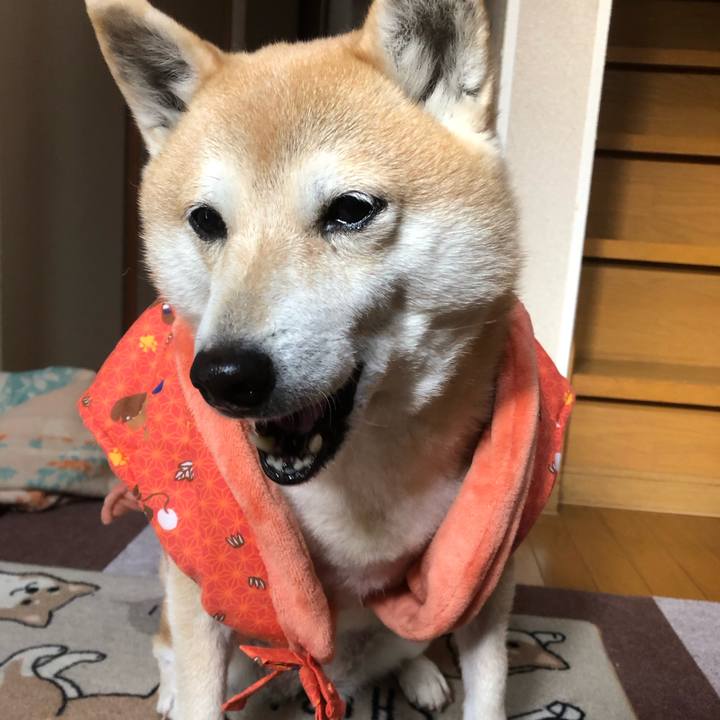 873f8350 0ffb 405b a6c1 caf57c7daee7 1581088206744