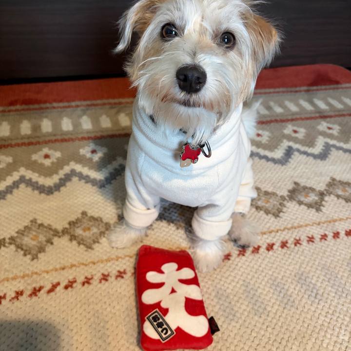 873f9219 211a 43e9 9c92 59eb8bb6d7af 1767310448359