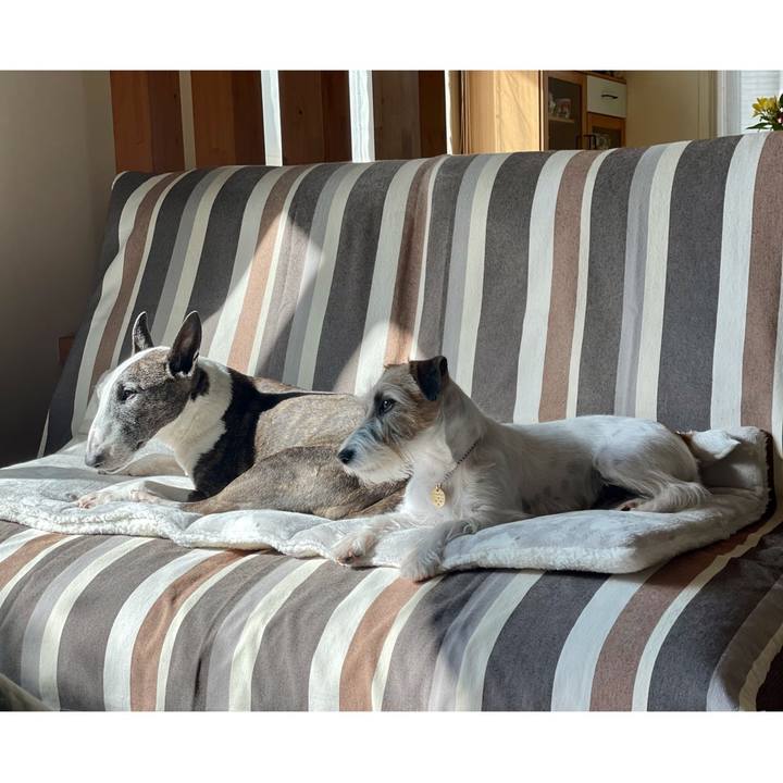 873fa0f1 6f8f 4258 bc51 ebd7e9f0b064 1636332035004