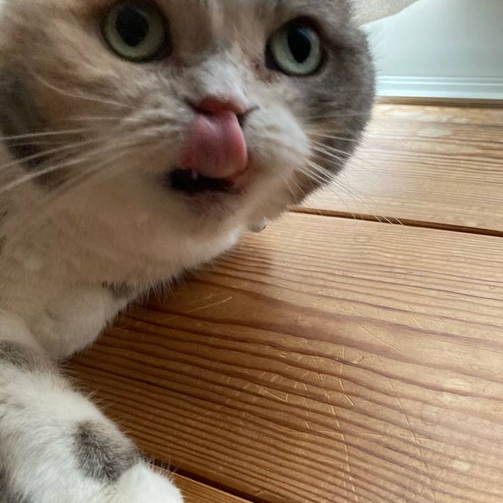 87400502 750c 45e9 aace 753e2b0c2a04 1708944687107