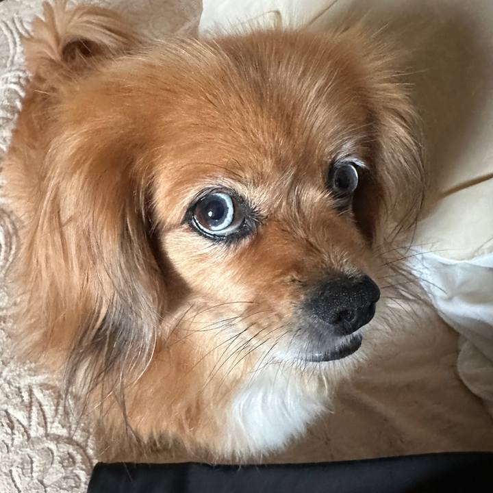 87401e07 aabc 4597 8ae5 ec5512cbfe08 1719435697852