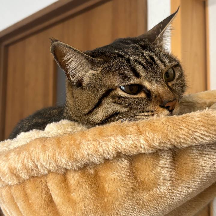 87404123 658a 4418 b40d 6718804b7166 1768442737082