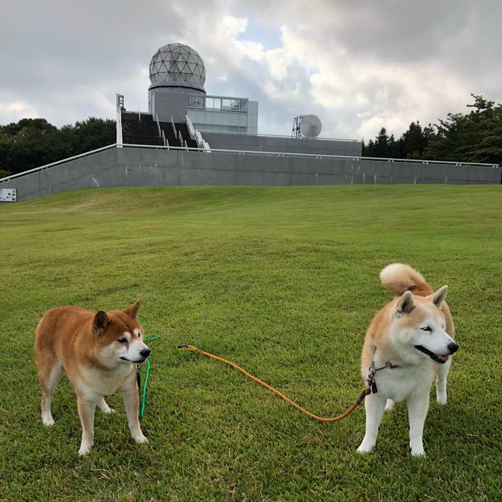 8740415e b16f 475d bf19 22cf446bf7a9 1537661004972