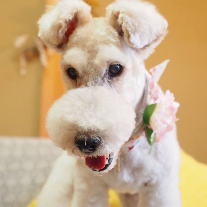 874041ab 27dc 4fe4 8356 5c5eb97f8851 1594478899677