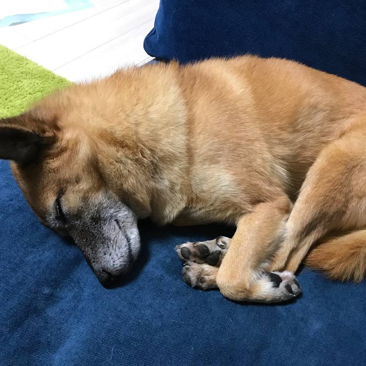 87407183 78dc 4ccb 966f 3f144f376f1e 1509881944173