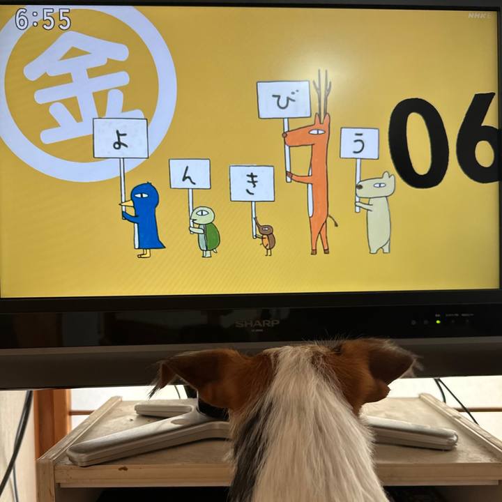 87407201 a8d7 408b ab78 39ec77865c01 1761862083648