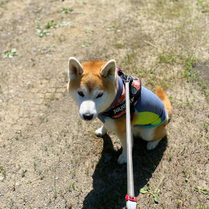 874077cc 5061 4fc9 99a7 cdecbbdc8b08 1687771223926