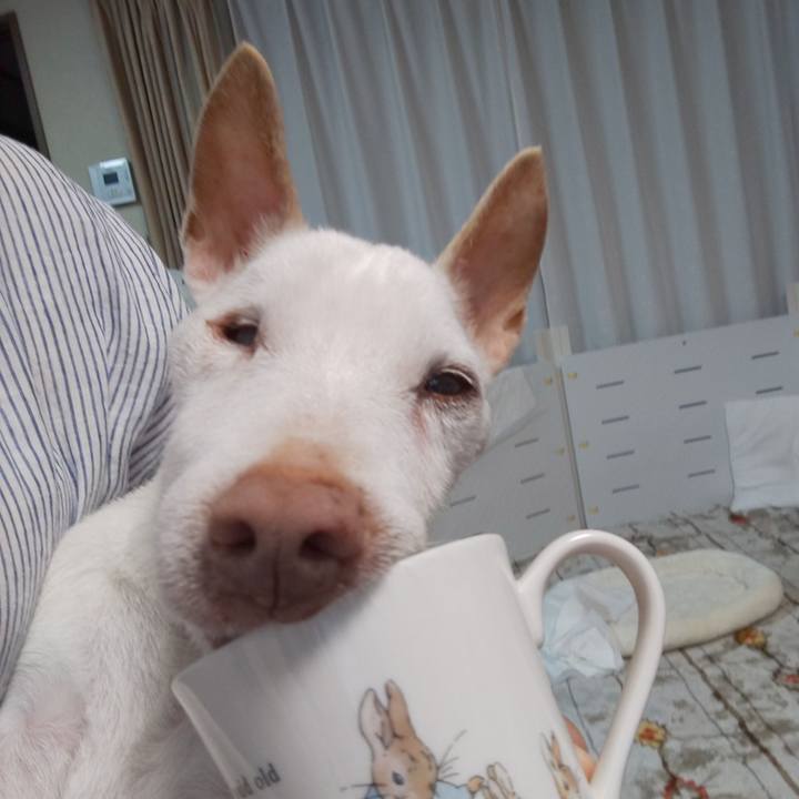 87409907 45c6 4356 8351 e8ba0aa7067b 1594248133980