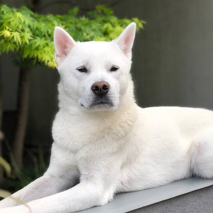 8740a9b9 4cd3 4aed b69a 78e9859eac13 1587175374377