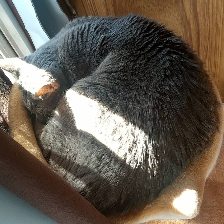 8740abdf 9f99 4e50 a45d ee1cfede9c42 1674270921112