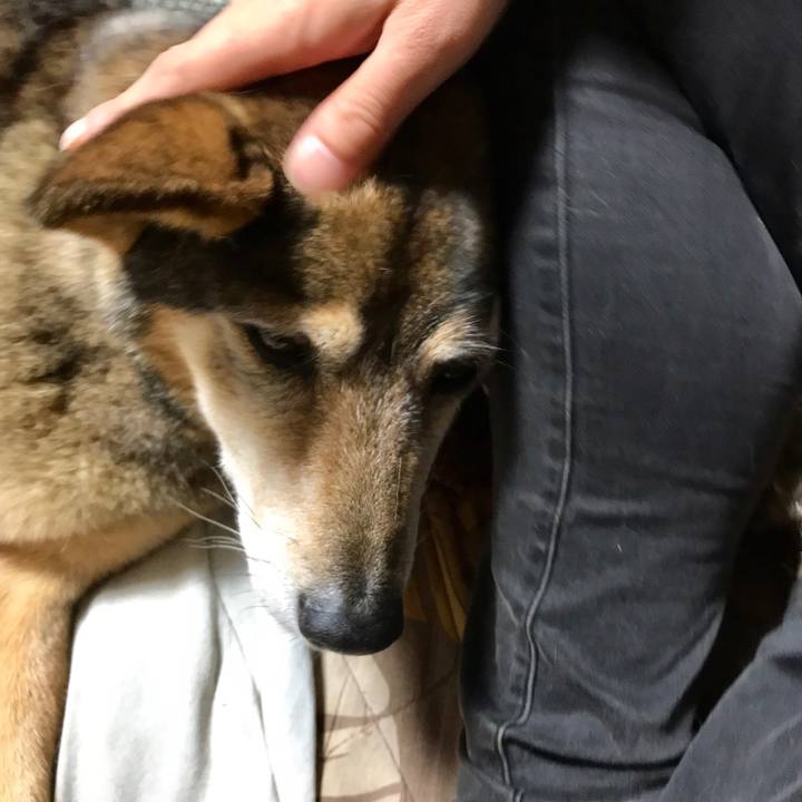 8740ac03 a534 4325 b6d0 6bd138bf65ad 1524746561983