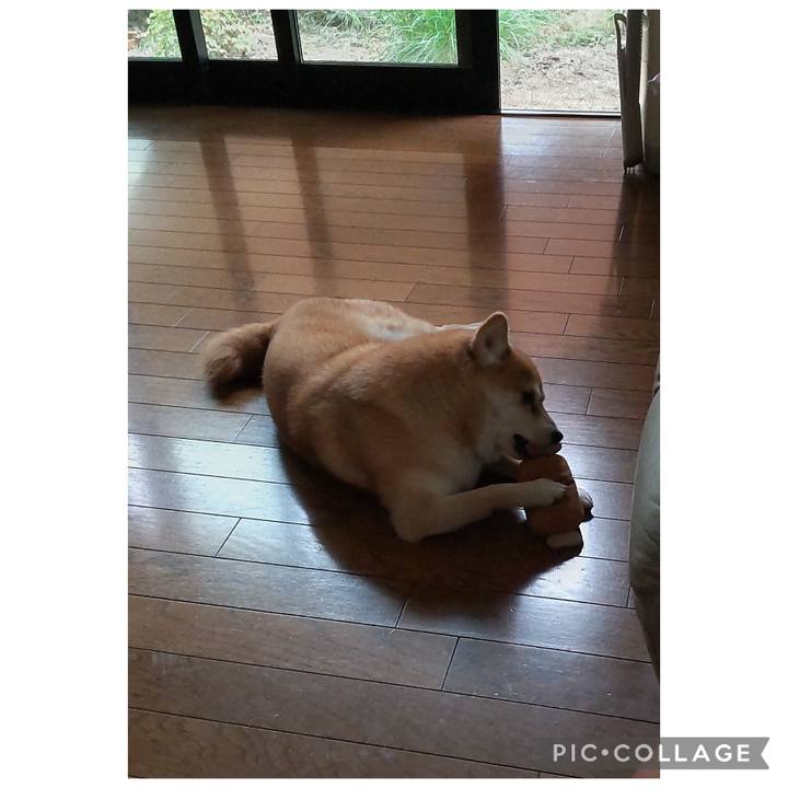 8740d49d d26c 4c24 8904 3e86cb78dd2c 1761038817623