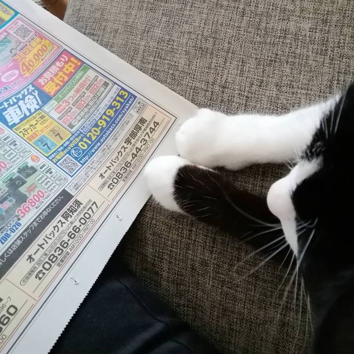 8740e20b d100 4201 b8fa 358a2480550a 1564110868739