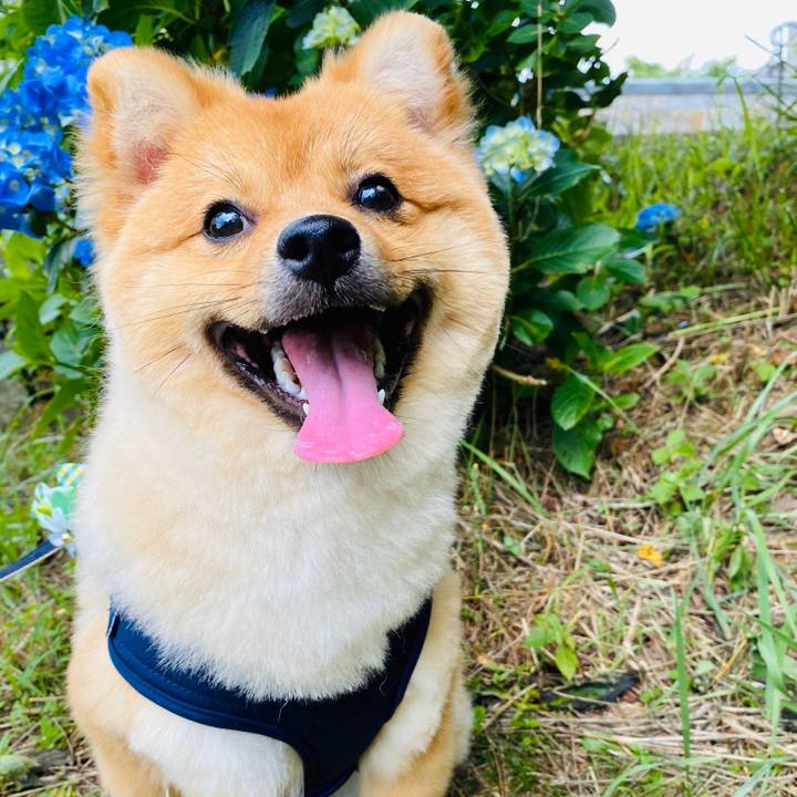 8740e2e3 31b6 4cbf 87c2 c2aabdae5d2b 1592641577779