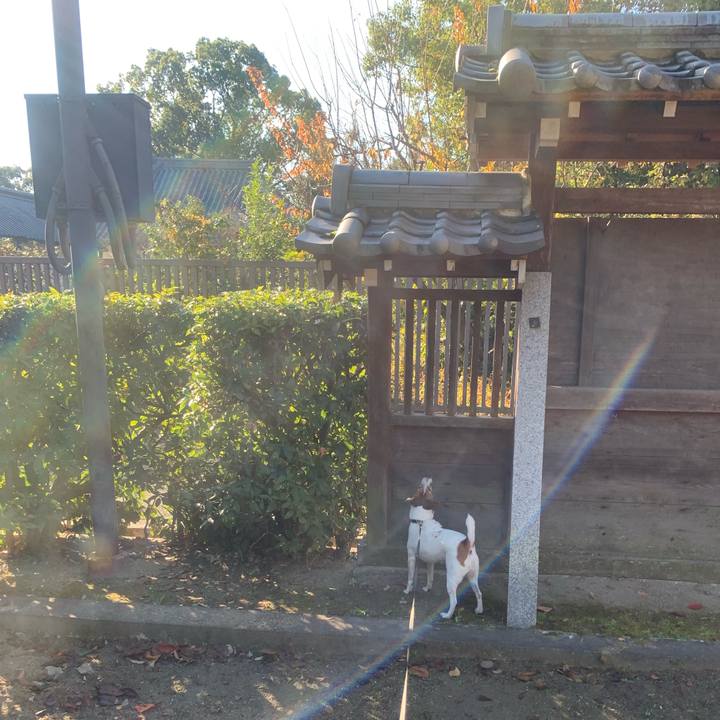 8741313d 40f9 4669 b3f6 e1fba4b5088e 1543150308995