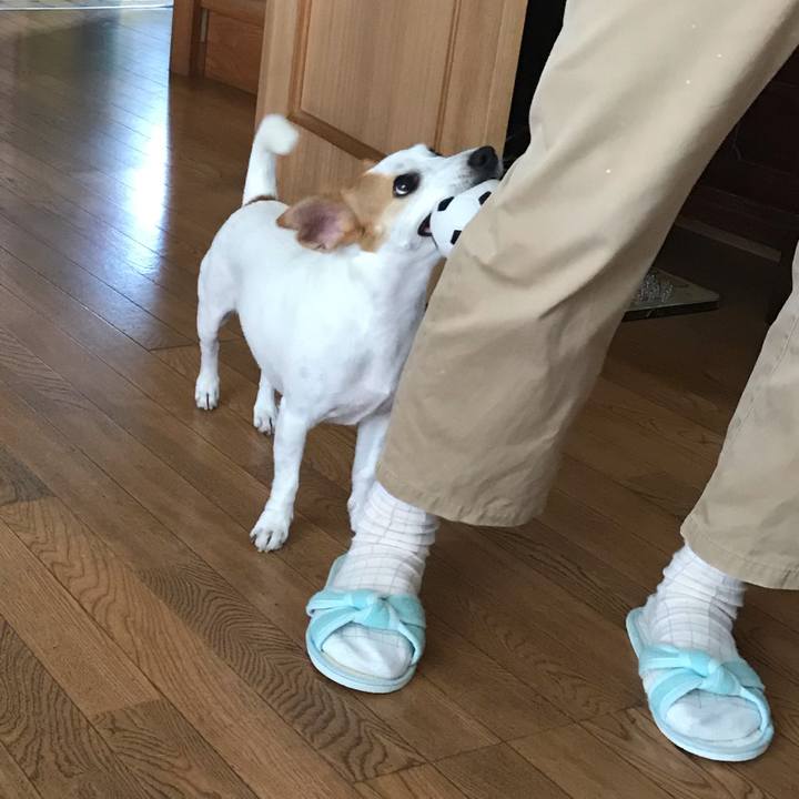 8741397e c513 4303 9dc0 57dc4de58f38 1599188173218