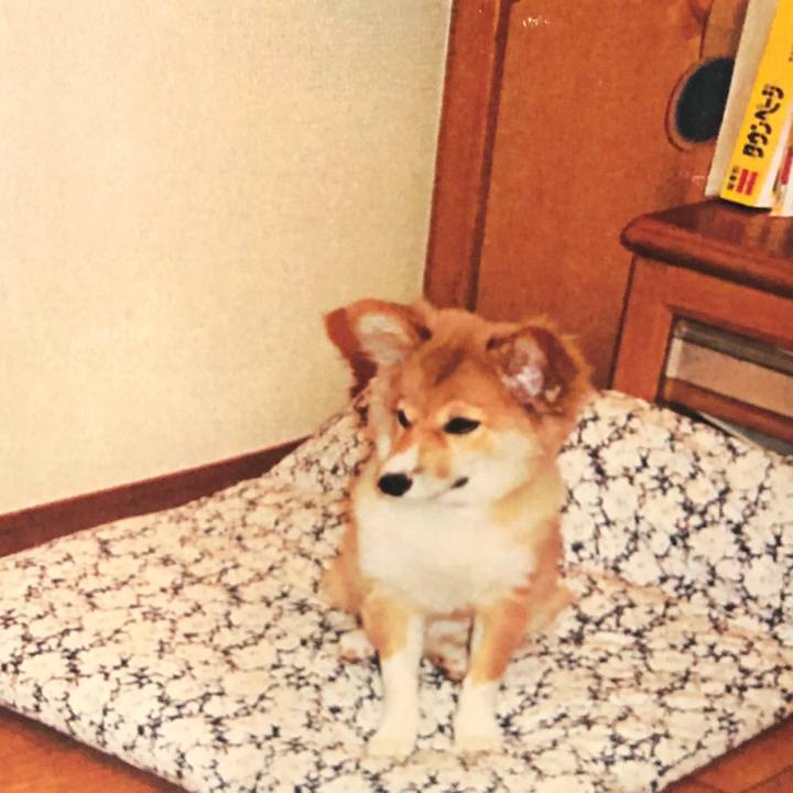 8741917d da9c 44c1 8e18 87aa8165b913 1537268879574