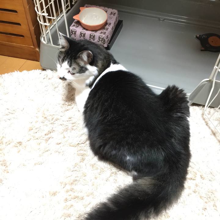 874193be 8af7 46b6 9ec9 a06ca64cc0e3 1551658843824