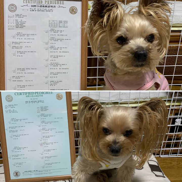 8741dc01 c4c1 4e64 9e7a 18933fa97e94 1612345935080