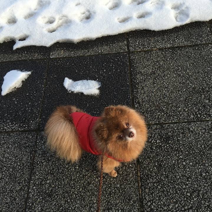 8741e9f1 2098 419f b0d7 14aeaa09a9d8 1514967029752