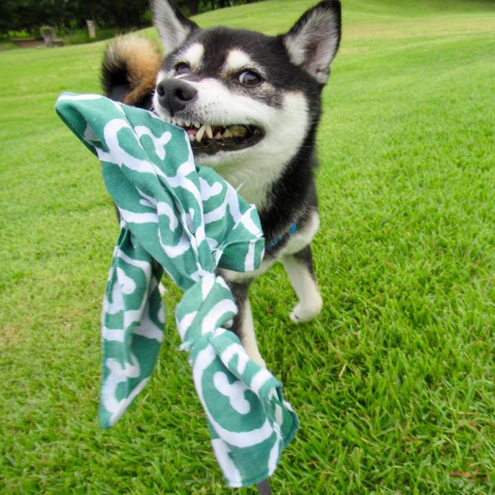 8741f35f 47d7 4df1 96bd 1e044643d08d 1563062235662