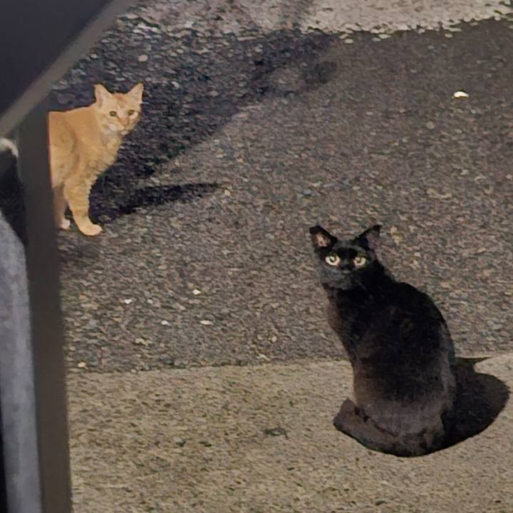 8742029d 179a 4f36 9c0f 5d2461a571f9 1719207723859