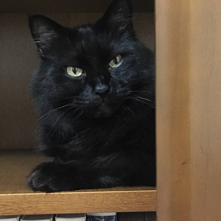 87420c8d 8ea9 4637 919d aef1cedf220d 1526307153355